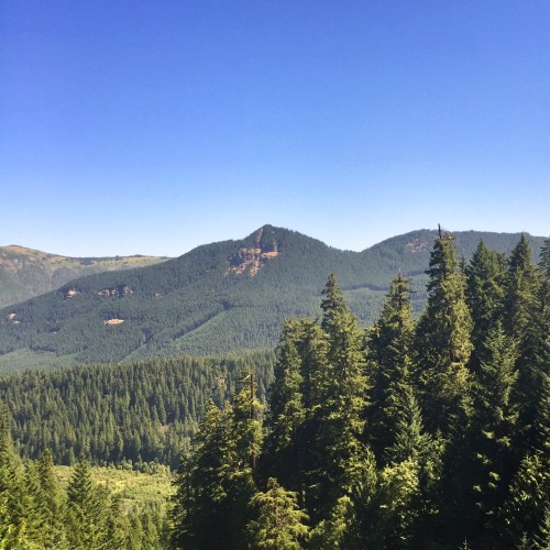 The high point (literally if not metaphorically) of the Coast Starlight route is at about 4,800 feet.