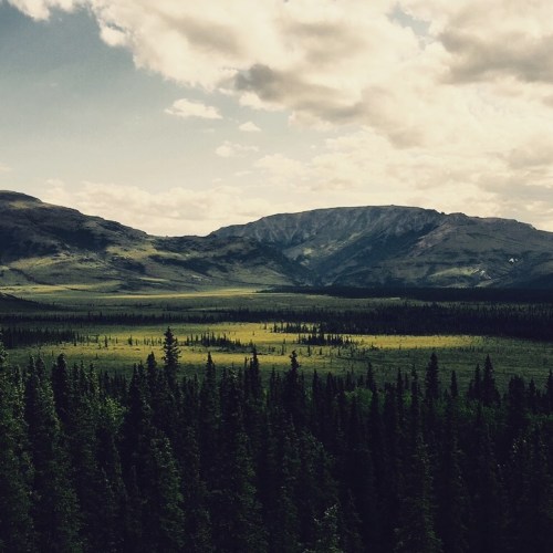 Summer Tundra Valley