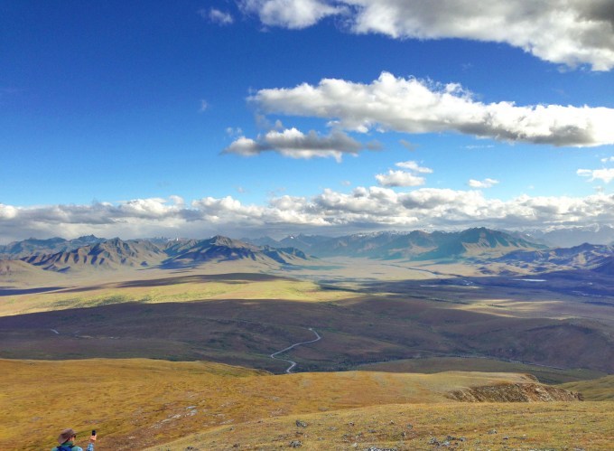 A ribbon of the Denali Park Road in the distance (Stewart for scale)