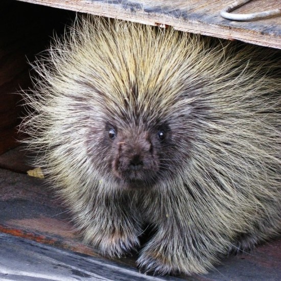 A lot of you have already met 