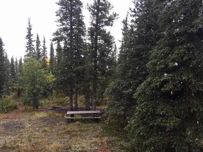 Photo of first snow falling at the cabin