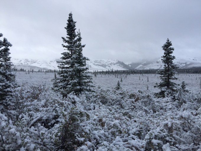 Photo of snow at the Alaska cabin during the first week of September 2015