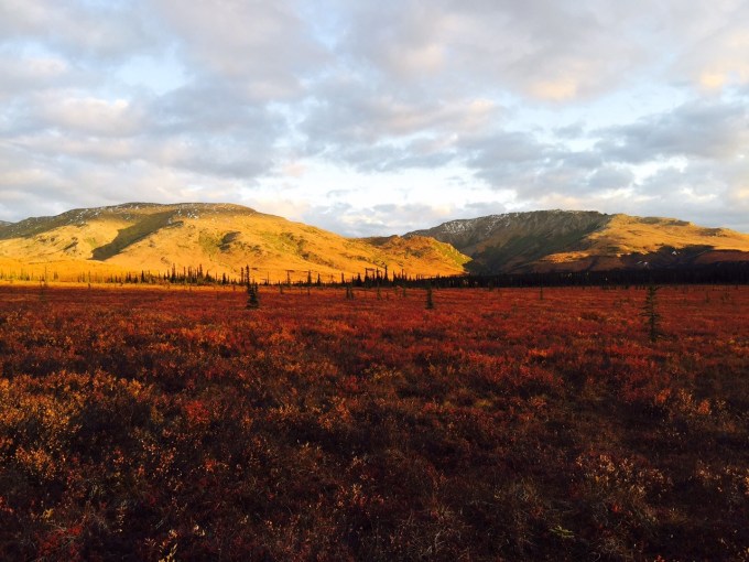 Photo of Primrose Ridge and Mt. Wright seen from the north