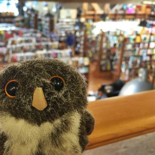 Owlish Bookstore