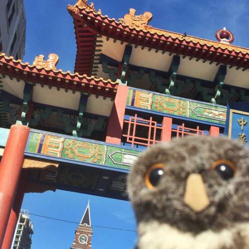 Owlish Chinatown