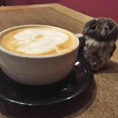 Owlish Coffee