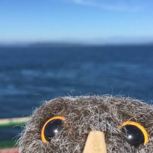 Owlish Ferry