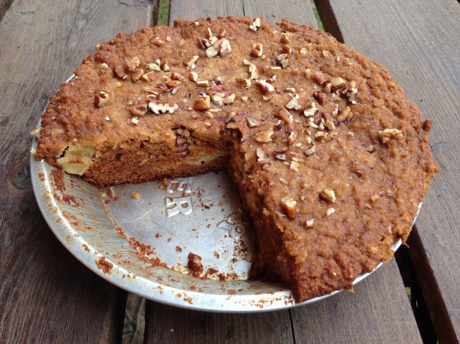 Dutch Oven Apple Spice Cake